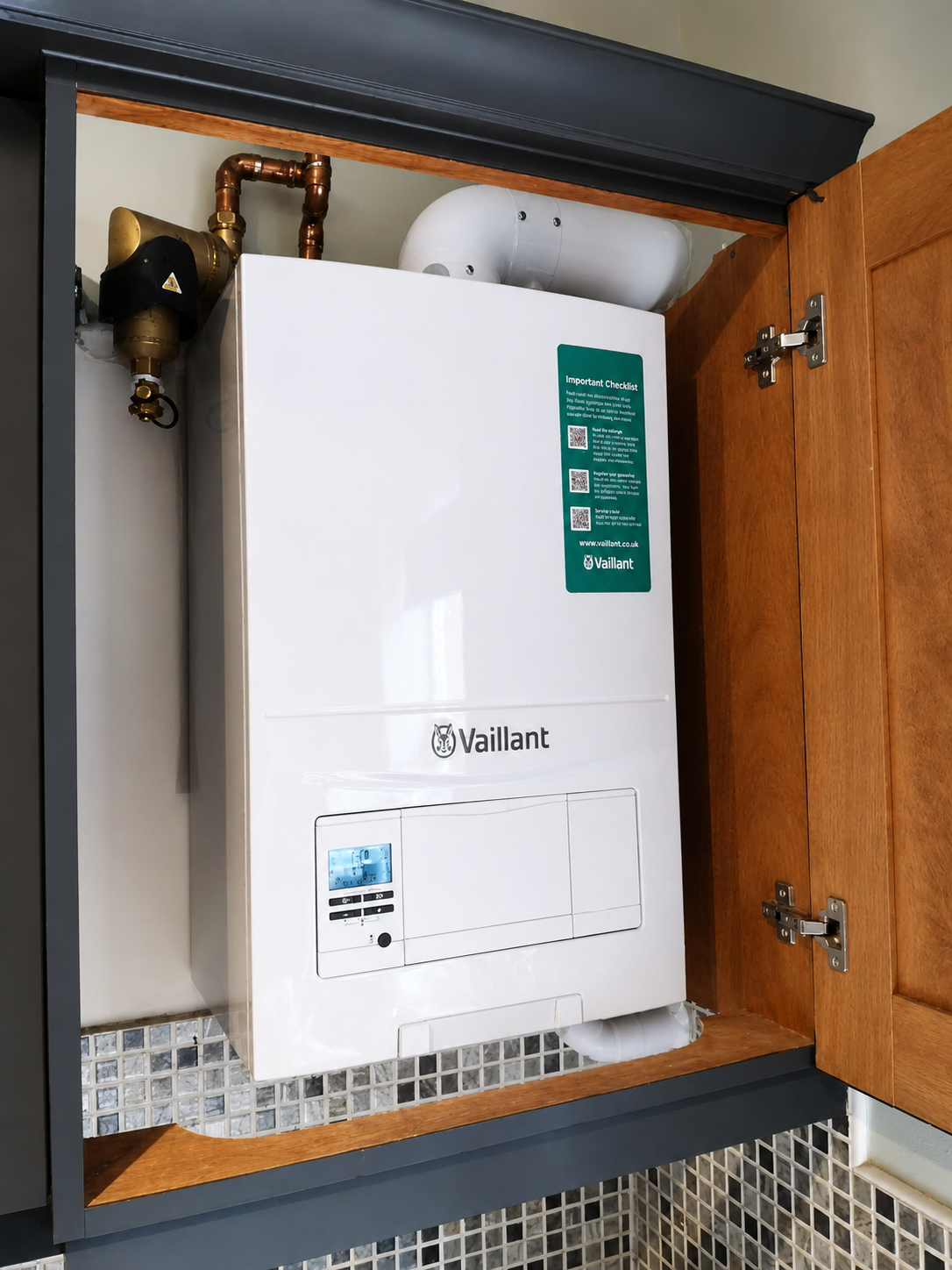 vaillant image jun 28, 2026, 08 08 16 pm